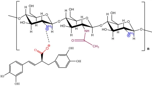 Figure 9. Possible reversible ionic interactions between COO -  group of RA and NH 3 +  of chitosan