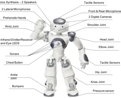 Figure 4.1 – NAO’s humanoid robot system, (Softbank Robotics)