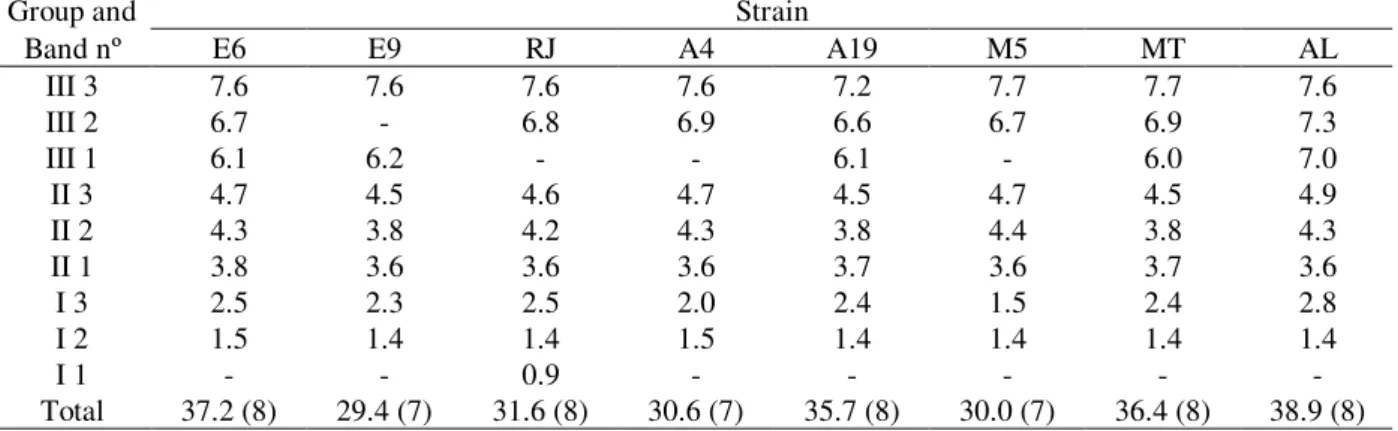 Table 1 - Size estimated (Mb) and number of  M. anisopliae chromosomal DNAs as determined by CHEF analysis.