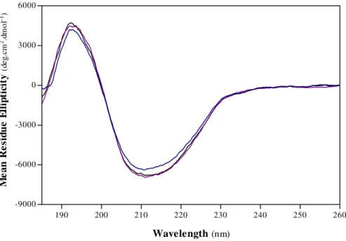 Figure 4.2  – Far-UV circular dichroic spectra of porcine pepsin A collected after incubation in 10 mM  sodium acetate at pH 3 and 25 ºC during 0 h ( ___ ), 1 h ( ___ ) and 24 h ( ___ )