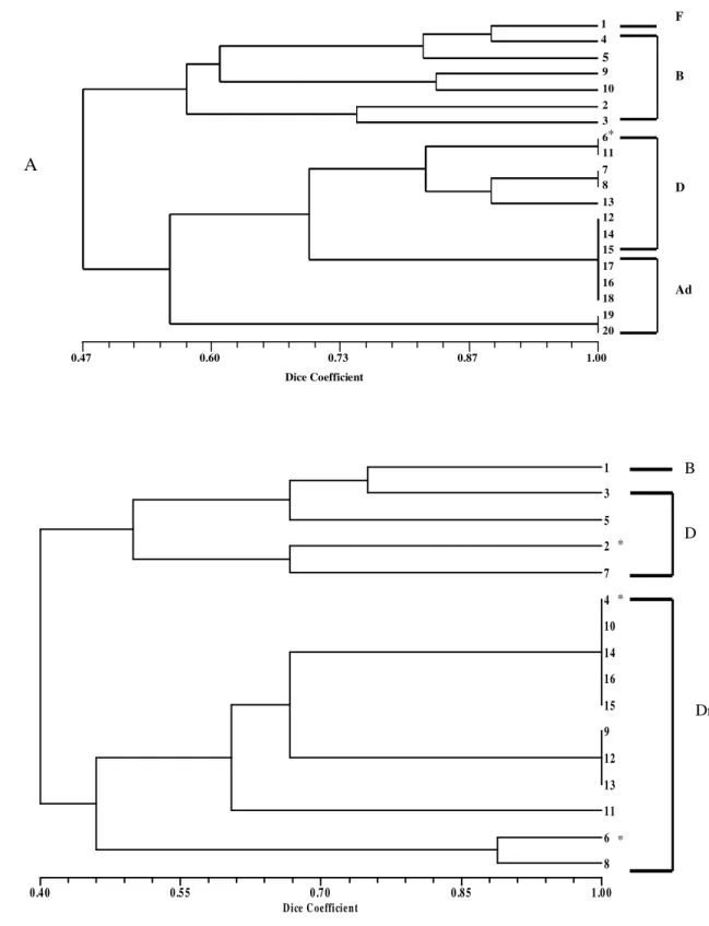 Figure 3 - Cluster analysis showing within decompositional period (in days) similarities and theirDice Coefficient0.470.600.730.871.00 1 459102361178131214151716181920FBDAdA * Dice Coefficient0.400.550.700.851.00           1  3  5  2  7  4  10  14  16  15 