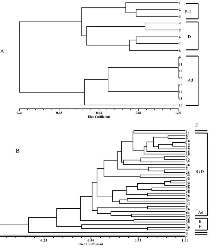 Figure 4 - Cluster analysis showing within decompositional period (in days) similarities and their relationship with decompositional stages in Autumn (A) and Winter (B) at the forested site