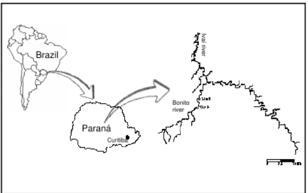 Figure 1 - Bonito river, located  in the Ivaí river basin in the state of Paraná 