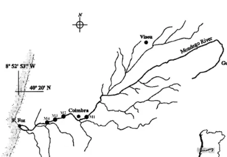 Figure 1. Location of the sampling sites within the Mondego Basin. M1– Reference site; M2, M3 and M4 - Sites on channelized sector