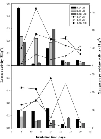 Figure  2  -  Laccase  and  MnP  activity  of  L.  edodes  strains  (L17,  L22  and  Leax)  in  eucalyptus  sawdust  during  growing  period  in  stationary  (upper  graph)  and  bioreactor  (lower  graph)  systems