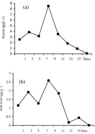 Figure 1 - Microcystin levels in the seston (a) and in the fish liver (b) during the bloom period