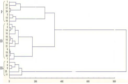 Figure  1  -  Dendogram  of  cluster  analysis  of  durum  wheat  genotypes  classified  according  to  yield  ability in well-watered and rainfed conditions .