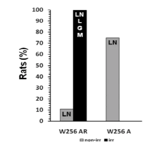 Figure 4 - Metastatic dissemination of W256 A and AR variants (non-irr rats = gray bars; and irr  rats = black bar)