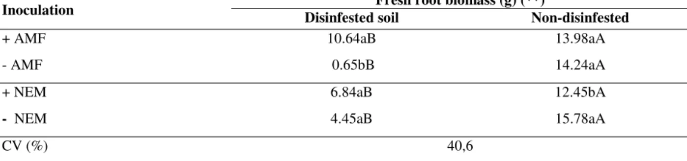 Table  3  -  Fresh  root  biomass  of  sweet  passion  fruit  seedlings  220  days  after  inoculation  of  Scutellospora  heterogama (AMF) and Meloidogyne incognita (NEM) in disinfested and non-disinfested control soil