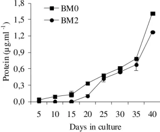 Figure  3  -  Extracellular  protein  content  derived  from  BM0  and  BM2  embryogenic  cultures  of  A