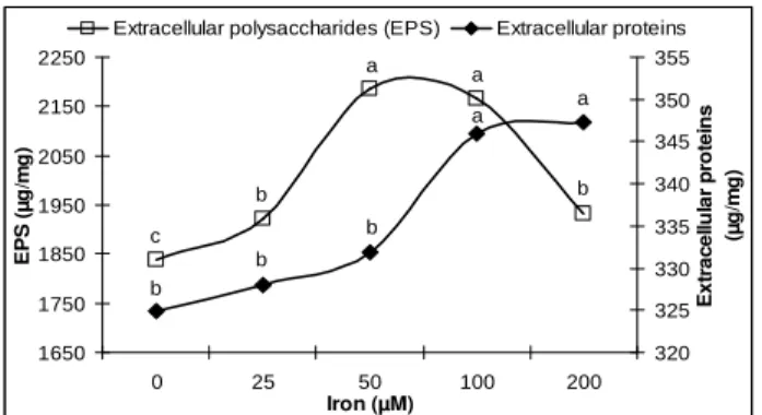 Figure 5 - Effect of different Fe 3+  concentrations (0, 25, 50, 100 and 200 µM Fe 3+ ) on extracellular  protein and polysaccharide contents of P