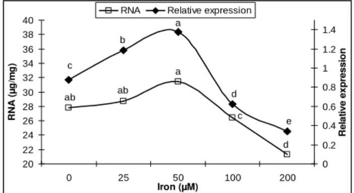 Figure 7 - Effect of different Fe 3+  concentrations (0, 25, 50, 100 and 200 µM Fe 3+ ) on total RNA  contents  and  relative  expression  of  fusaricidin  synthetase  gene  (fusA)  in P