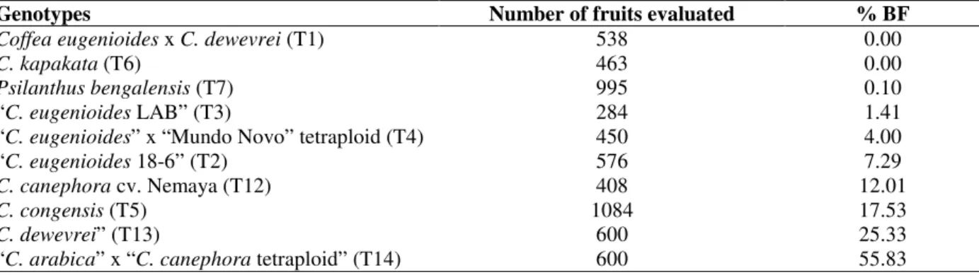 Table 1 - Percentage of bored fruits (% BF) in Coffea germplasms of the field evaluation accomplished in August  2004 at IAPAR (Londrina – PR – Brazil)