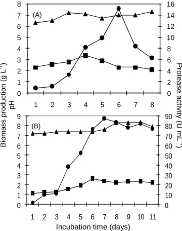 Figure 1 - Biomass production ( ■ ), pH variation ( ▲ ) and enzyme activities ( ● ) of strains R-986  (A) e R-993 (B) at different incubation times