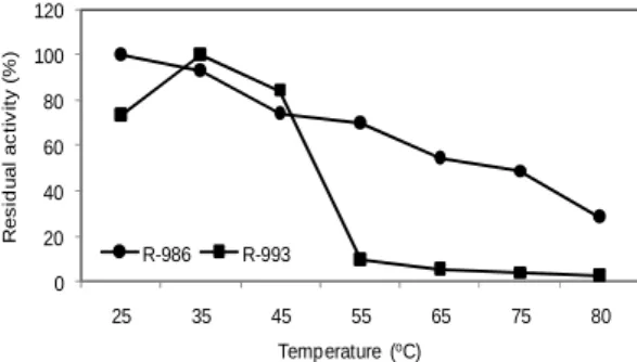 Figure 5 - Effect of temperature on the stabilities (2 h) of the crude protease extracts from R-986  (12.0 U mL -1 ) and R-993 (84.8 U mL -1 ) strains