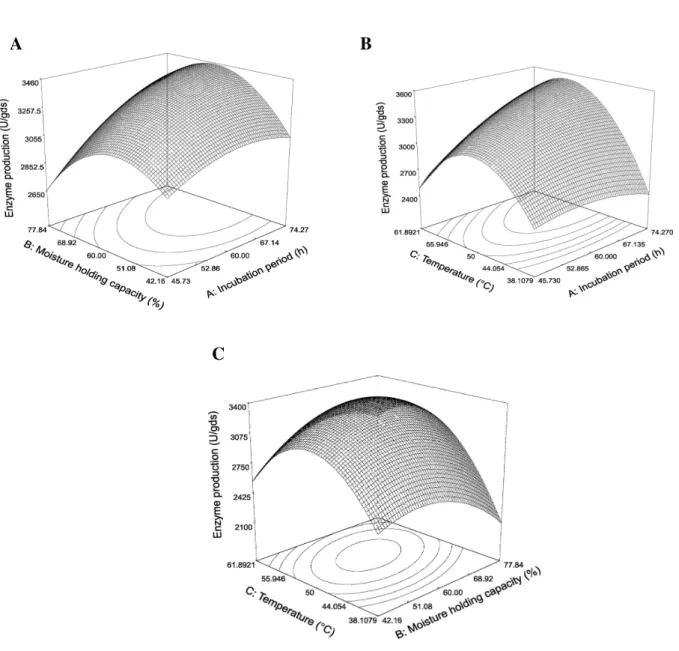 Figure  1  -  Statistical  optimization  of  enzyme  production  using  RSM,  (A)  incubation  period  and  moisture holding capacity; (B) incubation period and temperature and (C) temperature  and moisture holding capacity
