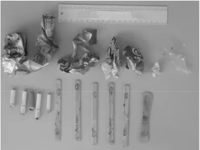 Figure 4 - Example of contents of one used PBA (the ruler was added for scale interpretation)