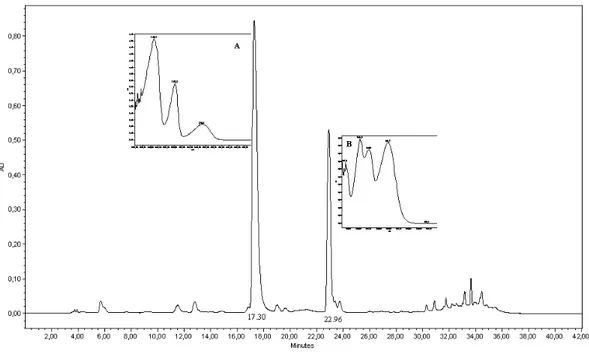 Figure 2 - Chromatogram of concentrated calli extracts, 300 nm. For chromatographic conditions,  see Material and Methods