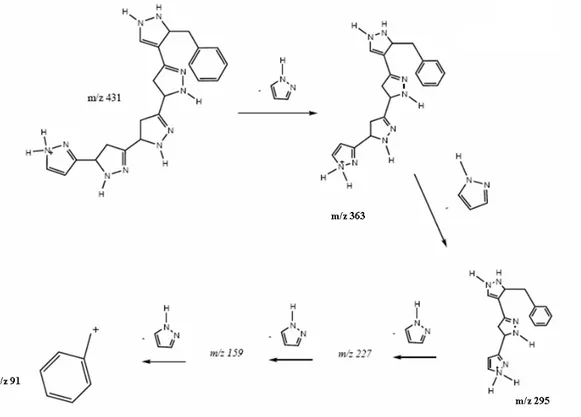 Figure 5 - Fragmentation proposition for substances present in the calli extract of P