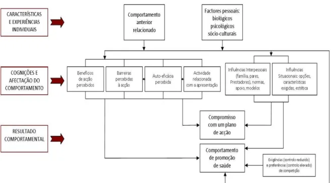 Figura 1. Modelo de Promoção de Saúde de Nola Pender revisto (1996)  (Machado, 2009) 