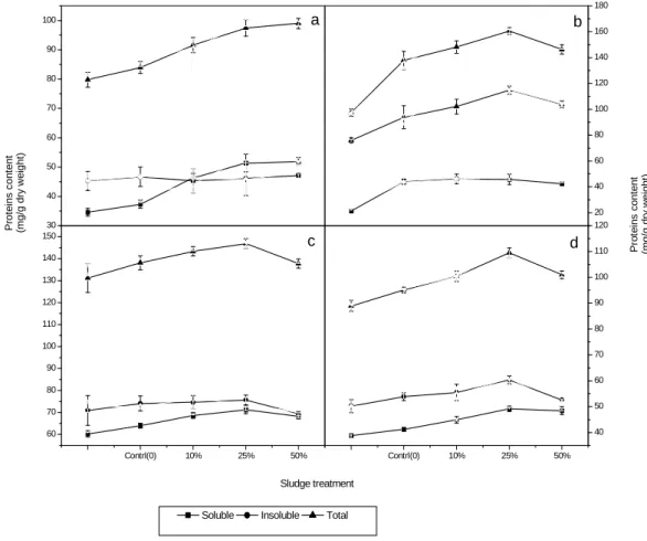 Figure  4 - Effect of addition of various ratios of sewage sludge to desert soil on which wheat and  jews mallow were growing on their soluble, insoluble and total protein content of: a)  shoot of wheat plants; b) root of wheat plants; c) shoot of jews mal