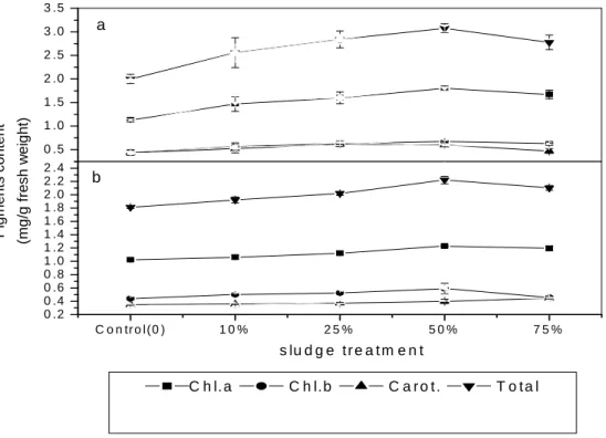 Figure 2 - Effect of addition of various ratios of sewage sludge to desert soil on which wheat and  jews  mallow  were  growing  on  their  pigment  content  of:  a)  wheat  plants;  b)  jews  mallow plants
