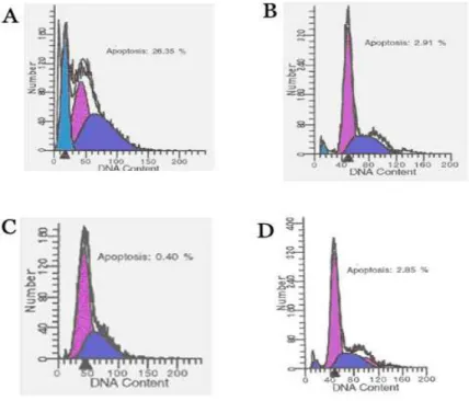 Figure 4 - Apoptotic rate in PC-3M cells treated with. A. E2F decoy DNA. B. ARE decoy DNA
