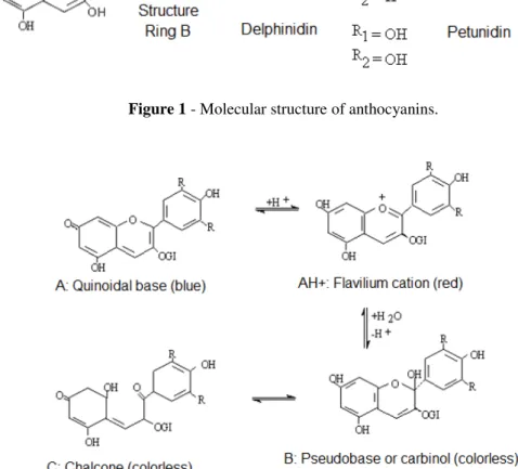 Figure 2 - Structural Transformation of anthocyanins according to pH (Jackman and Smith, 1992)