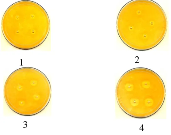 Figure  1  shows  the  zone  of  inhibition  formed.  It  was  found  that  at  lower  concentration  of  nisin  linearity was achieved