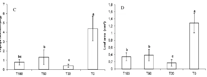 Figure 4 - (A) Fresh Biomass, (B) Dry Biomass (C), Eophyll foliar Biomass (D) and Eophyll foliar  area  of  Schinus  terebinthifolius  Raddi  seedlings  30  days  after  planting