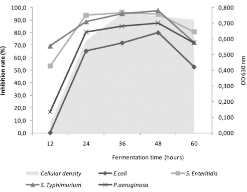 Figure 2 - Kinetic of antimicrobial production by FLPB-1 in co-cultivation. 