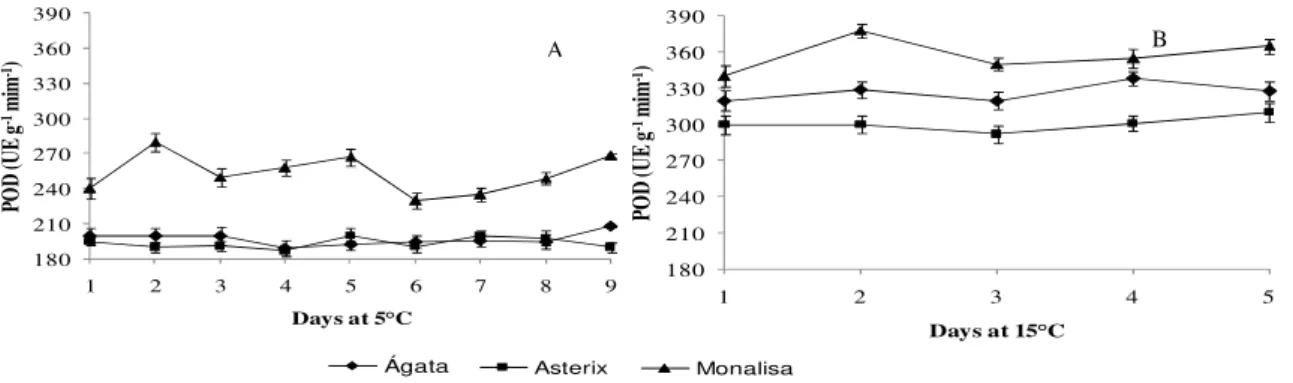 Figure 2- Peroxidase (POD) activity in different minimally processed potato cultivars stored at  5°C (A) and 15°C (B)