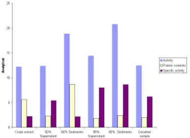 Figure  4  -  SDS-PAGE  showing  pure  GOX  was  used  as  the  antigen  for  the  production  of  glucose  oxidase  antibodies  in  rabbit