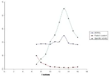 Figure 2 - Purification of glucose oxidase through ion exchange chromatography. 
