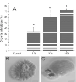 Figure 1 - A) Percentage inhibition of mycelial growth of C. gloeosporioides in concentrations of  the castor oil