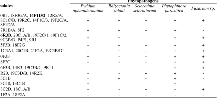 Table 2 - In vitro interaction between maize endophytic actinobacteria and phytopathogenic fungi