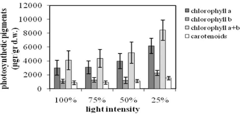 Figure 6 - The effect of light intensity on photosynthetic pigments contents. Each value of mean  and standard error represents three replications of measurements