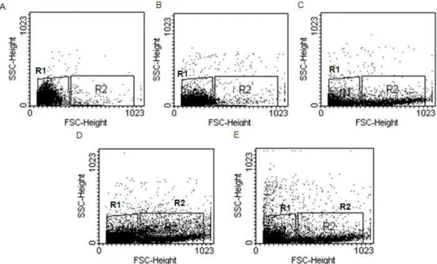 Figure  1  -  Representative  dot  plots  showing  SSC-Height  and  FSC-Height  for  PerC  cells  by  flow  cytometry