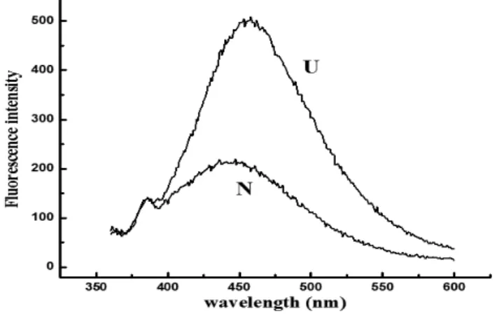 Figure  6  -  Fluorescence  spectra  and  reversible  unfolding  of  recombinant  SDH