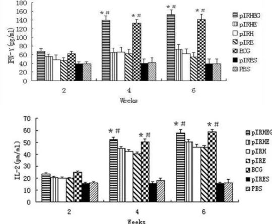 Figure  6  -  ELISA  analysis  of  IFN-γ  and  IL-2  concentration  of  the  lymphocyte  secreted