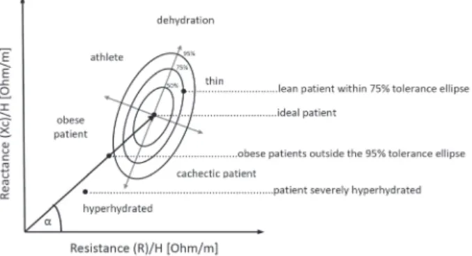 Figure 1. Different positions of the vector in the RXc graph indicating  different body composition can theoretically produce comparable  phase angles (a)