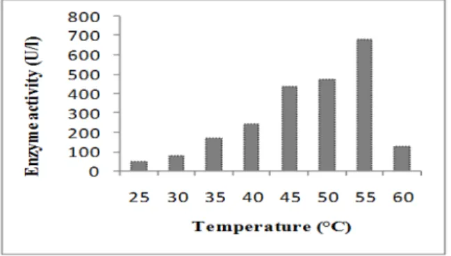 Figure 1 - Effect of temperature on alkaline protease production by B. megaterium MTCC 2444