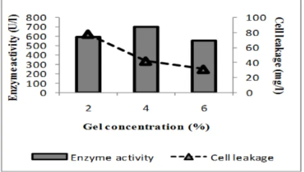 Figure  5  -  Effect  of  gel  concentration  on  cell  leakage  and  alkaline  protease  production  by  B