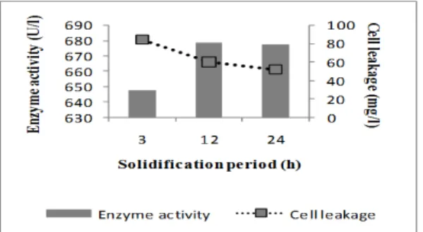 Figure 8 - Effect of solidification period on stability of gel beads, alkaline protease production and  cell leakage by B