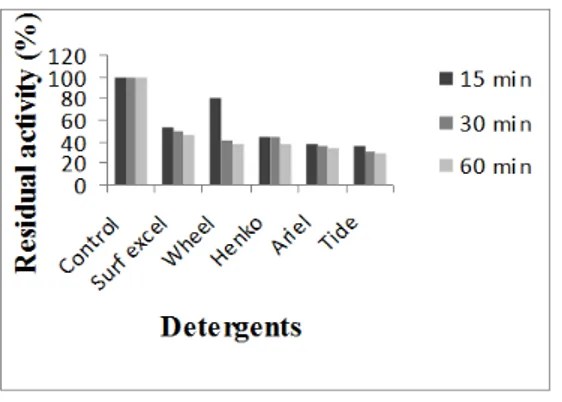 Figure 14 - Stability of alkaline protease in commercial detergents.