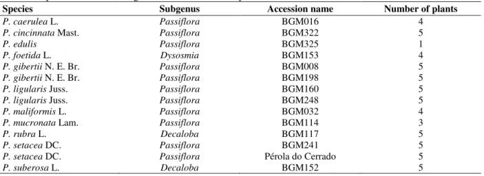 Table 1 - Species evaluated using P. edulis microsatellite primers. 