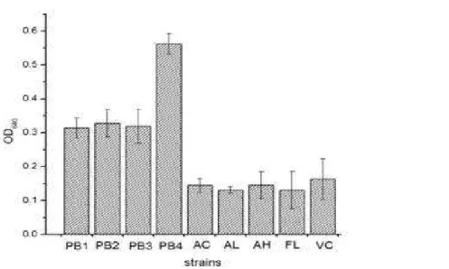Figure  1  -  Adhesion  of  probiotic  strains  to  fish  intestinal  mucus.  Adhesion  is  expressed  as  the  turbidity  caused  by  crystal  violet  stain  bound  to  the  adhering  bacteria  as  released  by  citrate  buffer
