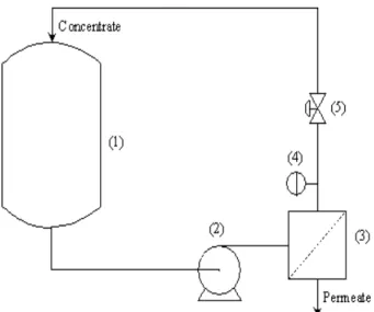 Figure  1  -  Schematic  representation  of  the  membrane  bench  scale  unit.  Legend:  (1)  tank,  (2)  pump,  (3)  membrane  module,  (4)  manometer  and  (5)  valve  for  pressure  control