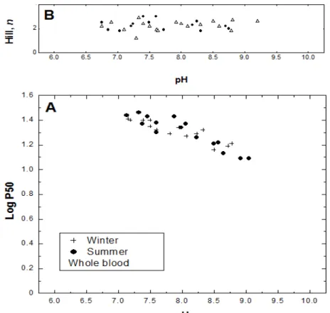 Figure 2 - (A) Oxygen affinity in unfractioned blood from C. maccormicki collected in both seasons,  expressed  as  P 50 ,  the  partial  pressure  of  oxygen  required  to  saturate  50%  of  the  hemes  measured  at  20 o C