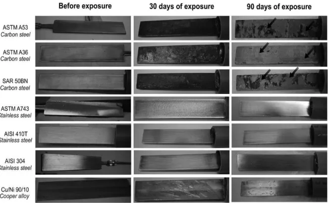 Figure  2  -  Samples  of  seven  types  of  metallic  coupons  (MC’s)  placed  in  the  corrosion  station  in  Salto  Pilão  hydroelectric  power  station  on  Ibirama  (SC)  –  Brazil  (2007)  and  collected  with  30  and  90  days  of  exposure